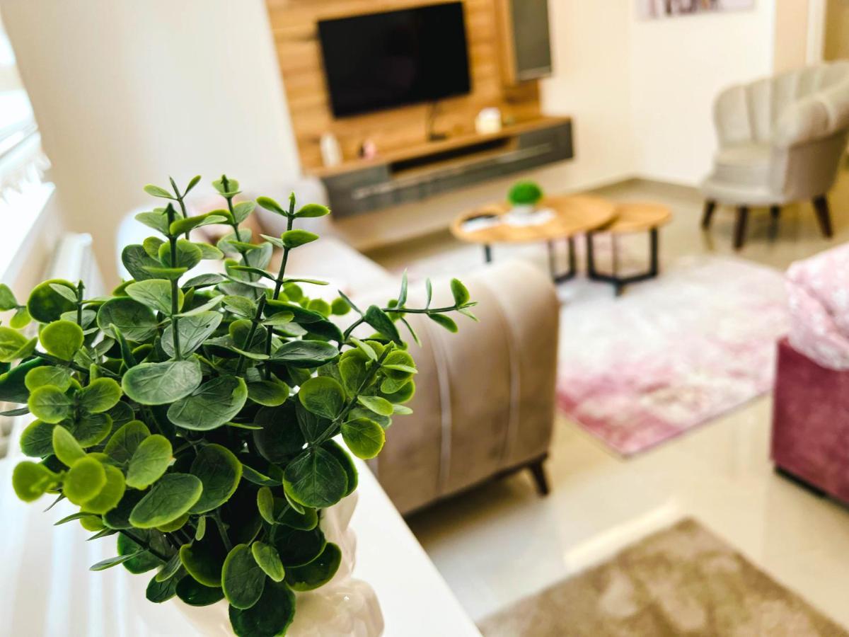 Old Town Luxury Suites 贝尔格莱德 外观 照片