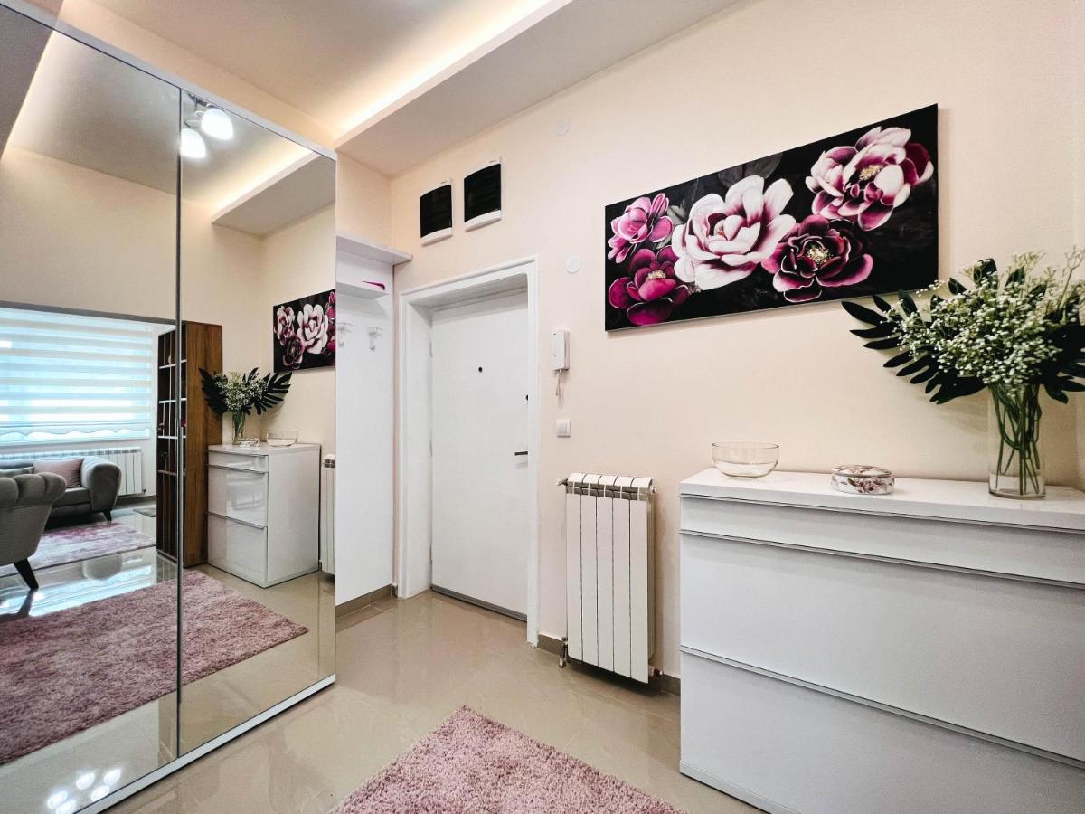 Old Town Luxury Suites 贝尔格莱德 外观 照片